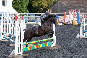 Class 3 -  Fences not above 2'3